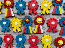 Load image into Gallery viewer, Horse Show Ribbons
