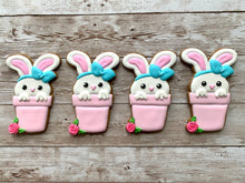 Load image into Gallery viewer, Easter Pack
